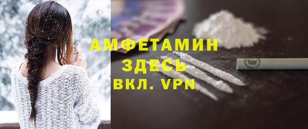 дмт Краснослободск