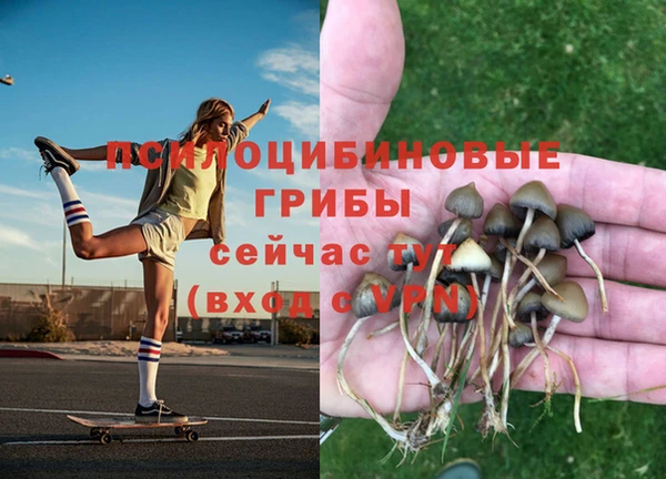 мяу мяу мука Краснотурьинск