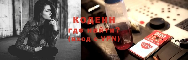 дмт Краснослободск
