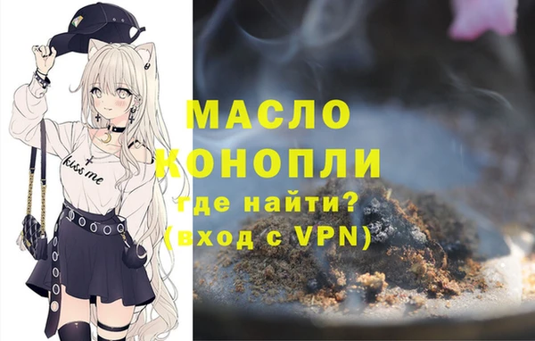дмт Краснослободск