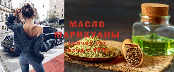 дмт Краснослободск