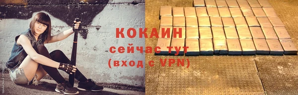 дмт Краснослободск
