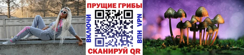 Галлюциногенные грибы Magic Shrooms  блэк спрут tor  дарк нет наркотические препараты  Можга 